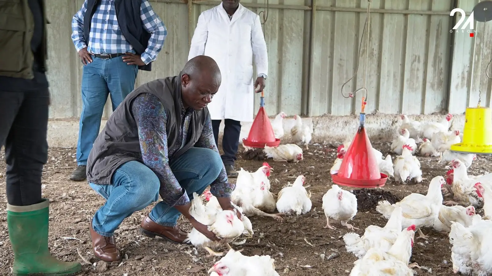 Poulet de chair : le Gabon face à l’OMC avant l’interdiction des importations