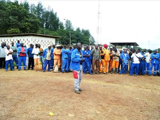 Sucreries du Gabon : la grève révèle une crise sociale et industrielle profonde