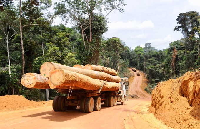 Congo : Brazzaville renforce le contrôle du bois pour accélérer l’industrialisation